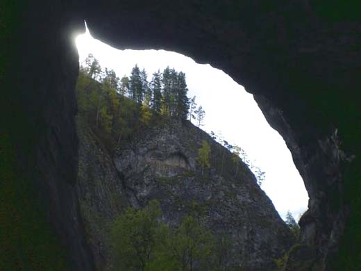 Курсовая работа по теме Пещера Шульган–Таш (Капова)