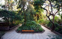 Ботанический сад - институт  в Уфе